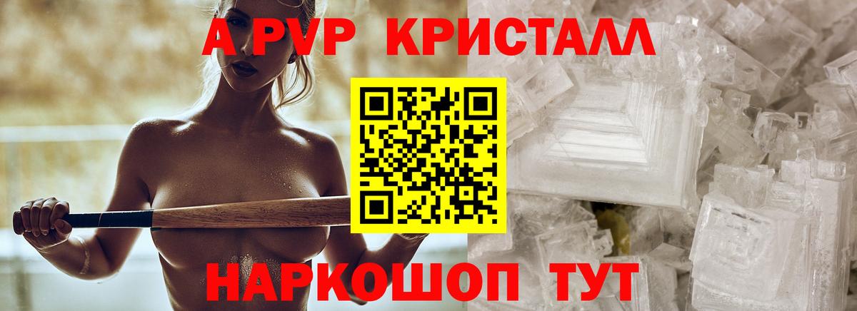 Alfa_PVP СК КРИС Ачхой-Мартан