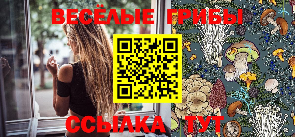 Псилоцибиновые грибы Magic Shrooms  хочу   Ачхой-Мартан  Вход с VPN  Галлюциногенные грибы Psilocybe 