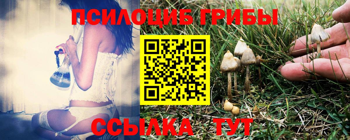 Псилоцибиновые грибы GOLDEN TEACHER Ачхой-Мартан